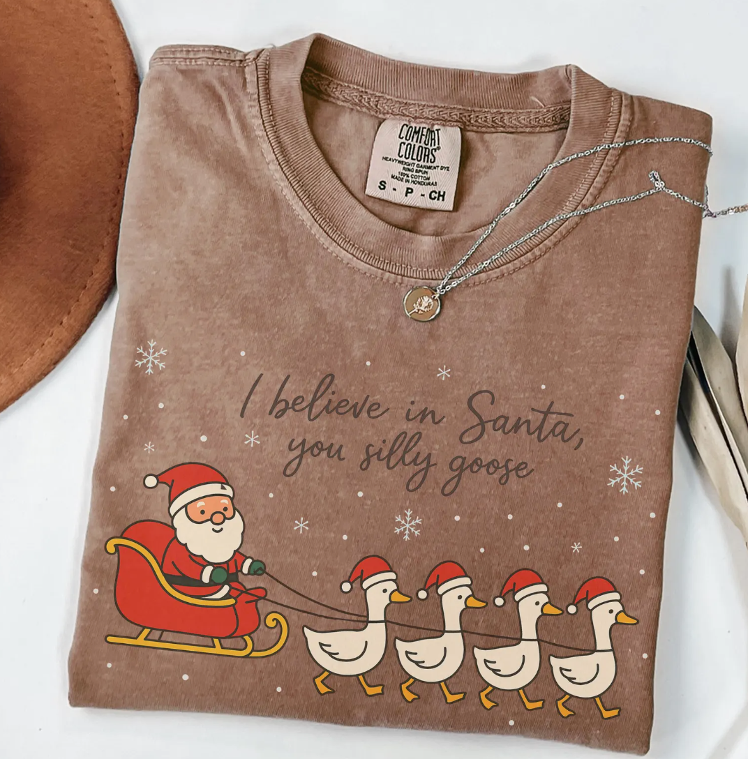 believe in santa, you silly goose