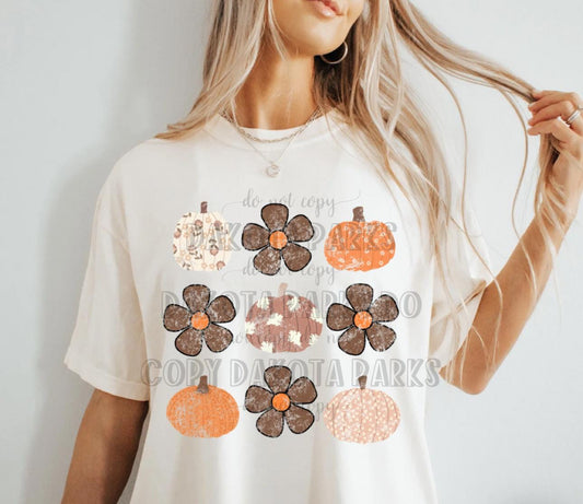 fall pumpkins & daisies