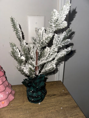 Mini Christmas trees