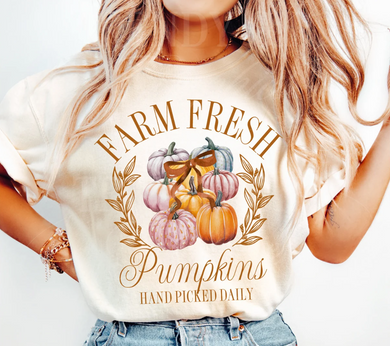 Farm fresh pumpkins hand picked daily