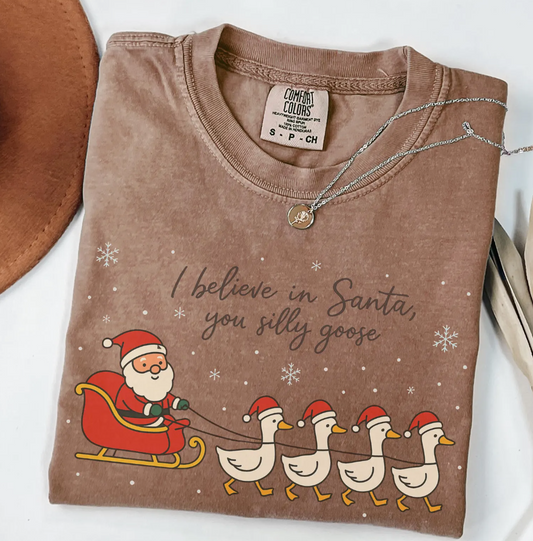 believe in santa, you silly goose