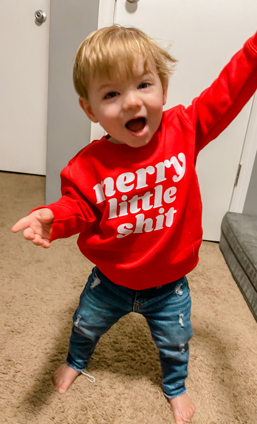 Merry little shit sweatshirt